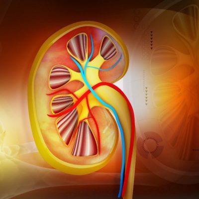 Nephrologist in Kharadi