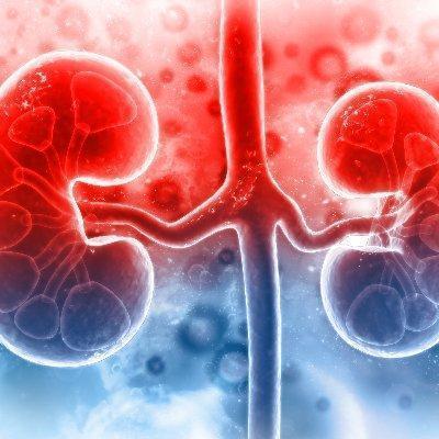 Nephrologist in Kharadi